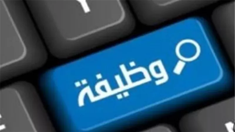 وزارة العمل تعلن وظائف خالية بالسويس: تأمين طبي عائلي ويومين إجازة أسبوعيًا للمقبولين