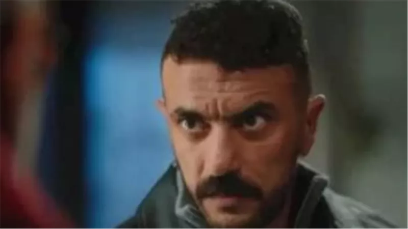 من النمر الأسود إلى علي كلاي.. رحلة القفازات التي هزت وجدان الجمهور المصري عبر الأجيال