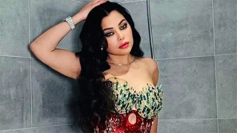 العالمية في مسيرة هيفاء وهبي.. تعاونات كبرى مع نجوم الراب 