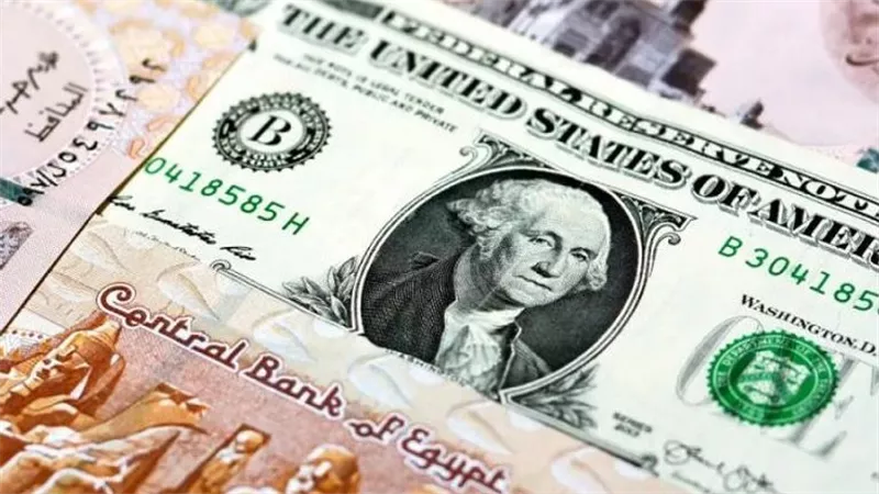 الدولار يواصل الاستقرار.. تعرف على أسعار الصرف في البنك التجاري الدولي CIB اليوم