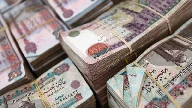 التضامن الاجتماعي تعلن جاهزية منافذ الصرف لاستقبال أصحاب المعاشات ومستفيدي تكافل وكرامة