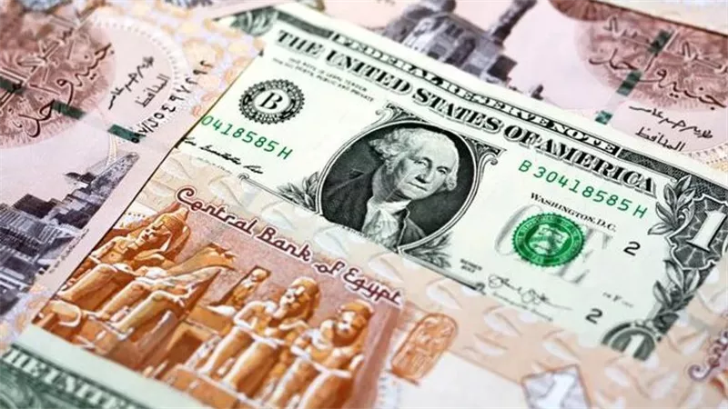متابعة حية لسعر الدولار: كم سجلت الورقة الخضراء في بنك قناة السويس والمصرف المتحد؟