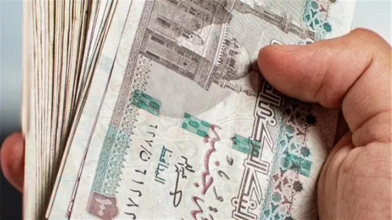 بـ 8 مليارات جنيه.. تفاصيل أكبر منحة رمضانية للمواطنين عبر منصة مصر الرقمية