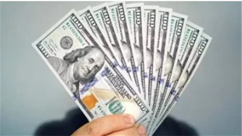 تطورات سوق الصرف: هدوء في أسعار الدولار مقابل الجنيه خلال تعاملات الثلاثاء