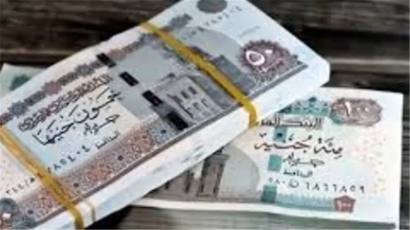خطوات الاستعلام عن معاشات أبريل 2026 والرقم التأميني عبر الموقع الرسمي للهيئة