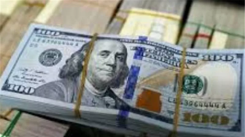 الدولار في مصرف أبوظبي الإسلامي والبنك المركزي.. تباين الأسعار بين البنوك الحكومية والخاصة