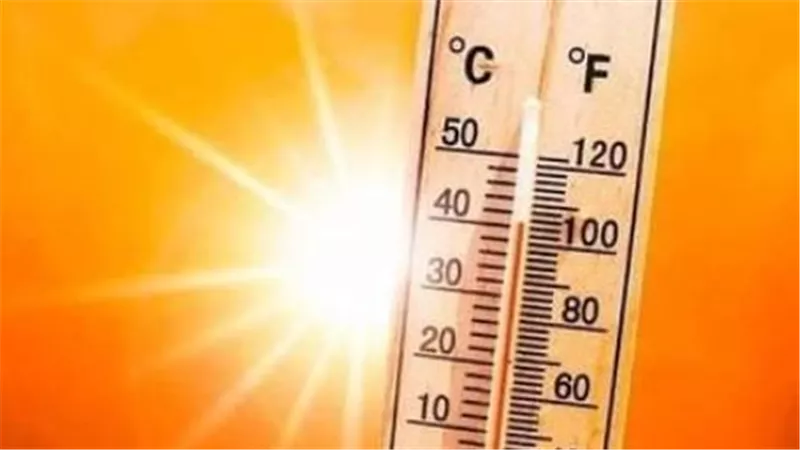 حالة الطقس اليوم: الأرصاد تعلن وصول العظمى في القاهرة إلى 24 درجة وأسوان تسجل 32