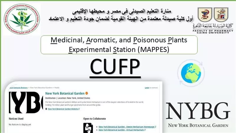 ماذا يعني تسجيل CUFP دوليًا؟ أهمية الخطوة في تعزيز تصنيف جامعة القاهرة البحثي