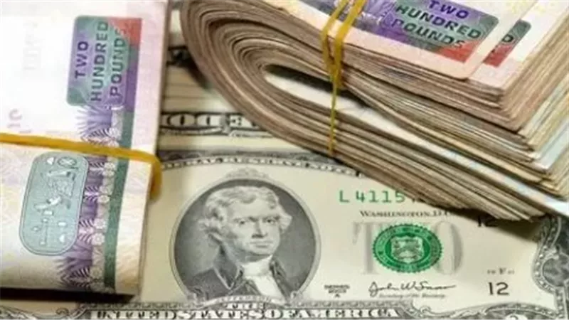 خروج الاستثمارات قصيرة الأجل وتأثيرها على الجنيه: رؤية وزير المالية الأسبق للأزمة الحالية
