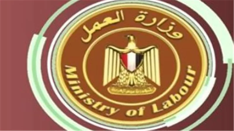 من المدير وحتى العامل.. قائمة الوظائف المطلوبة في أحدث نشرة توظيف حكومية 2026