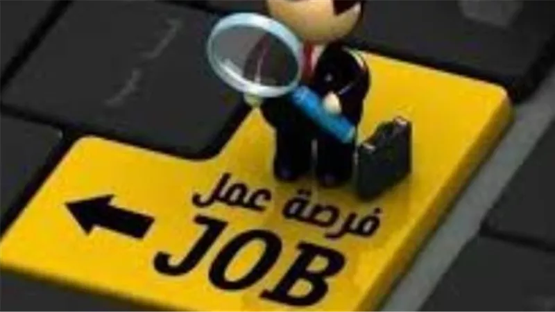 وزارة العمل تواجه البطالة بـ 500 فرصة عمل جديدة برواتب تنافسية لجميع المؤهلات