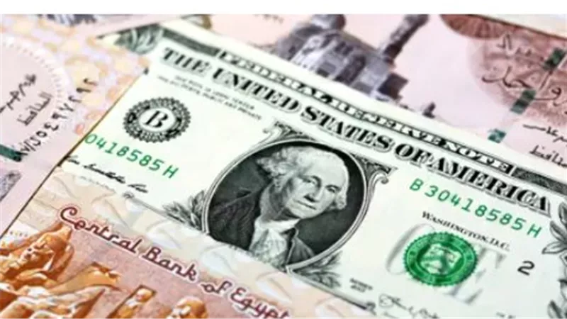 استقرار سعر الصرف.. حركة الدولار مقابل الجنيه المصري في البنك التجاري الدولي CIB