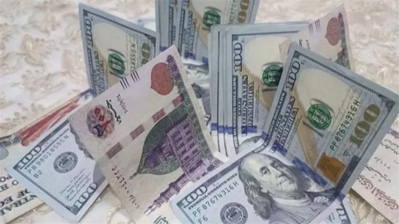 سعر الدولار في البنك المركزي المصري اليوم الإثنين 16 مارس 2026