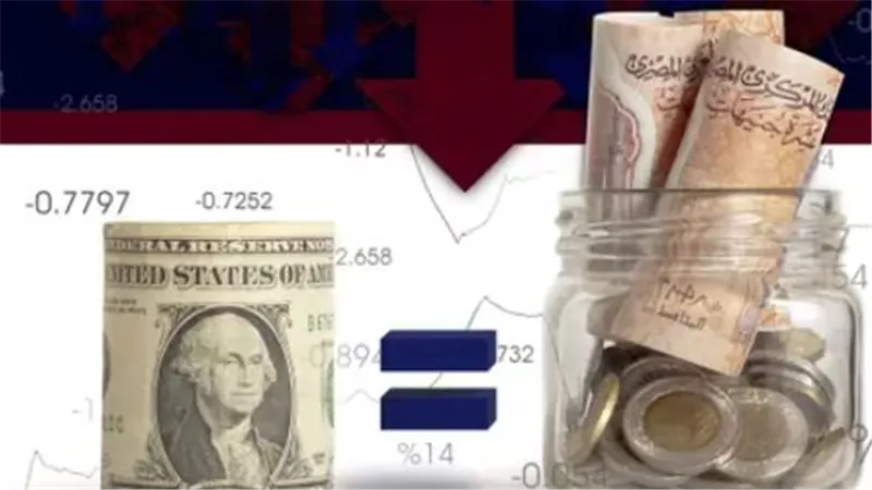 سعر الدولار في البنك الأهلي المصري وبنك مصر.. هدوء في حركة البيع والشراء اليوم