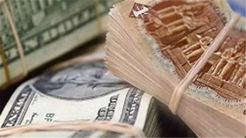 الدولار مقابل الجنيه المصري 2026.. استقرار العملة الصعبة في ظل المتغيرات الاقتصادية الحالية
