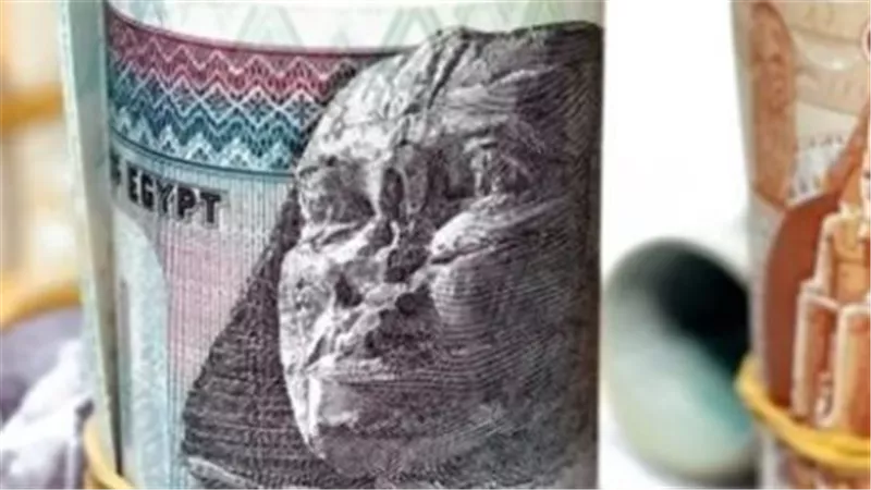 تحديثات البنك المركزي المصري وأسعار الصرف في البنوك الوطنية والخاصة