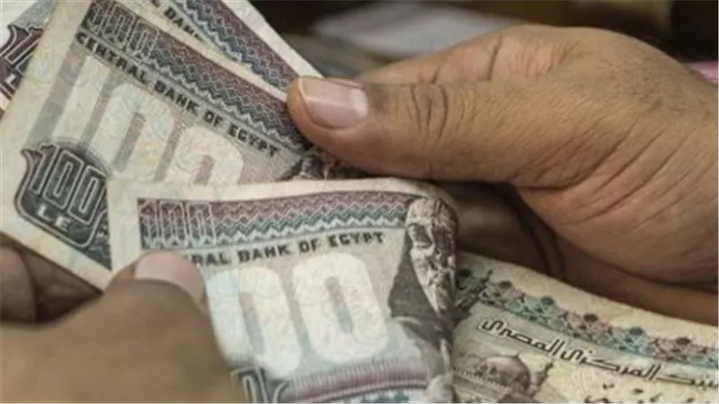 بالرقم القومي فقط.. كيف تستعلم عن الأسماء الجديدة المقبولة في تكافل وكرامة؟