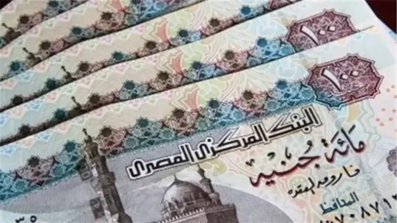 كيفية التعرف على الأسماء المقبولة والتحقق من الاستمرار في البرنامج