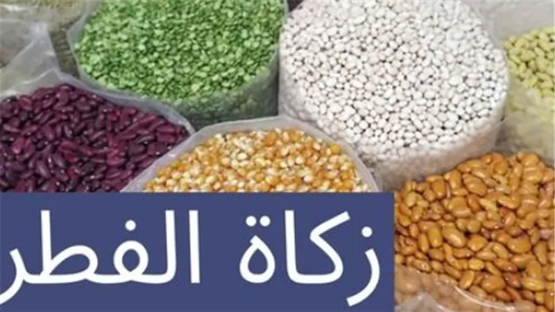 زكاة الفطر 2026.. الفرق بين الفقير والمسكين وضوابط الإخراج عن الجنين والميت