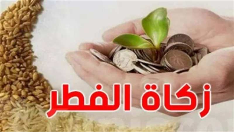 المفتي يحدد 35 جنيهًا لزكاة الفطر.. تعرف على ضوابط الإخراج نقدًا ومصارفها الشرعية