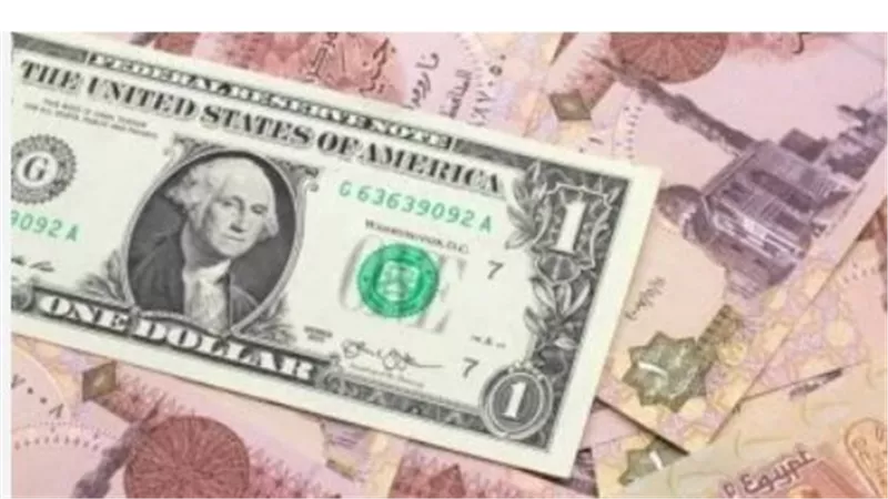 تحديث لحظي لسعر الدولار مقابل الجنيه المصري في البنك المركزي والبنوك الكبرى