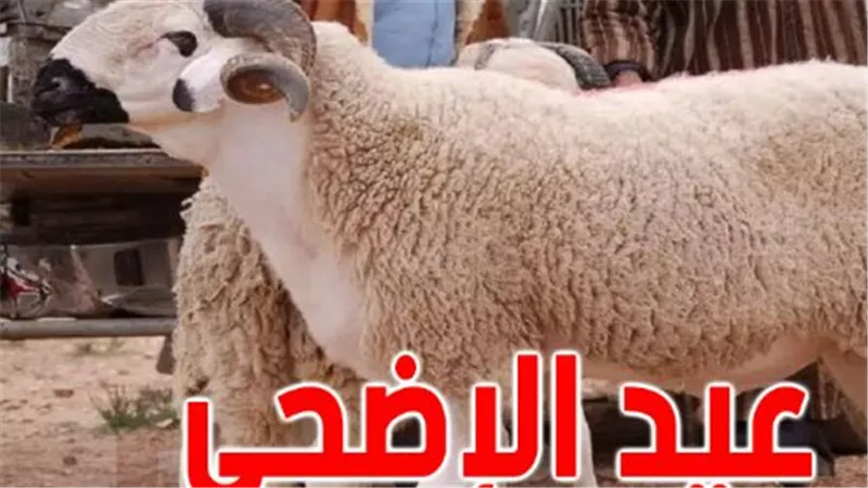 الدليل الكامل لموعد عيد الأضحى 2026 وعدد أيام الإجازة المتوقعة للموظفين