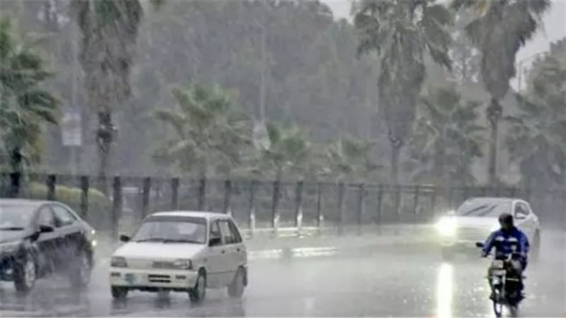 عودة الشتاء المفقود.. العظمى في القاهرة تسجل 19 درجة مئوية نهاية الأسبوع