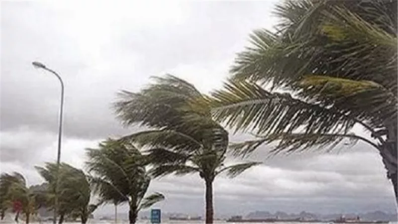 اضطراب الملاحة البحرية في الإسكندرية.. رياح تصل لـ 50 كم/س وأمواج عالية