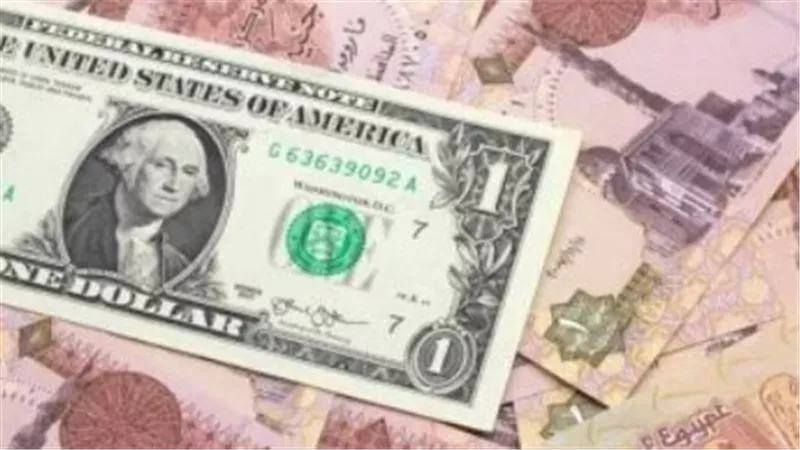 استقرار سعر الدولار في البنك المركزي والأهلي المصري ومصر خلال تعاملات اليوم