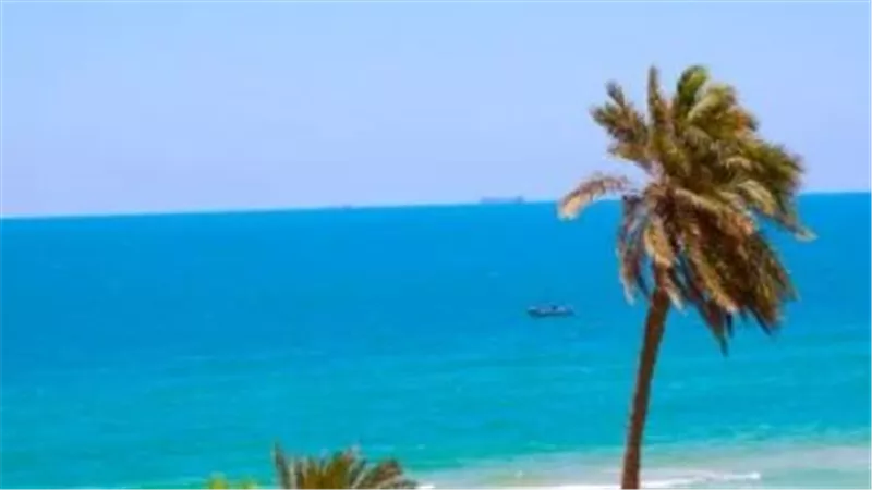 طقس مصر اليوم: استعدوا للأمطار والرمال والأتربة في القاهرة والمحافظات