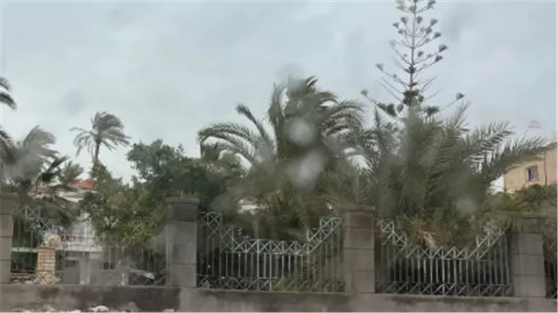 سيولة مرورية في شوارع العريش رغم الأمطار.. والأجهزة التنفيذية ترفع درجة الاستعداد