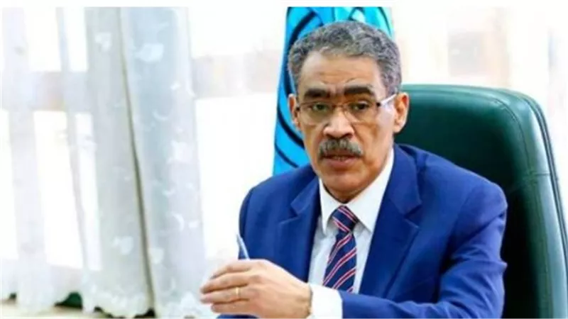 ضياء رشوان في 