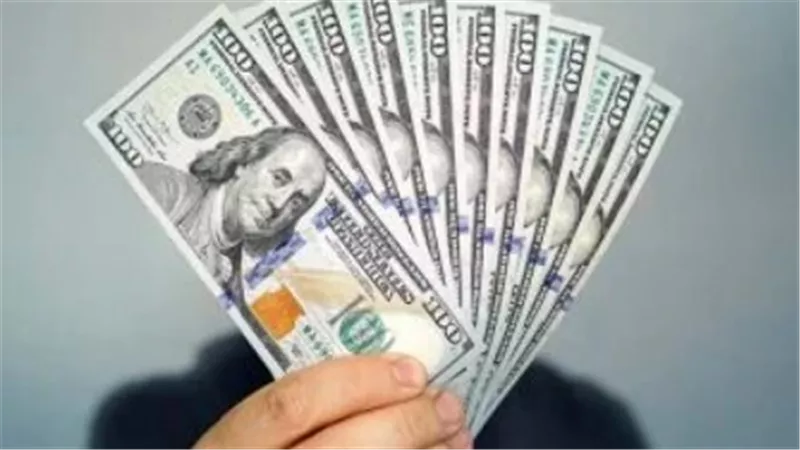 البنك المركزي يعلن استقرار سعر الدولار أمام الجنيه المصري في تعاملات الثلاثاء