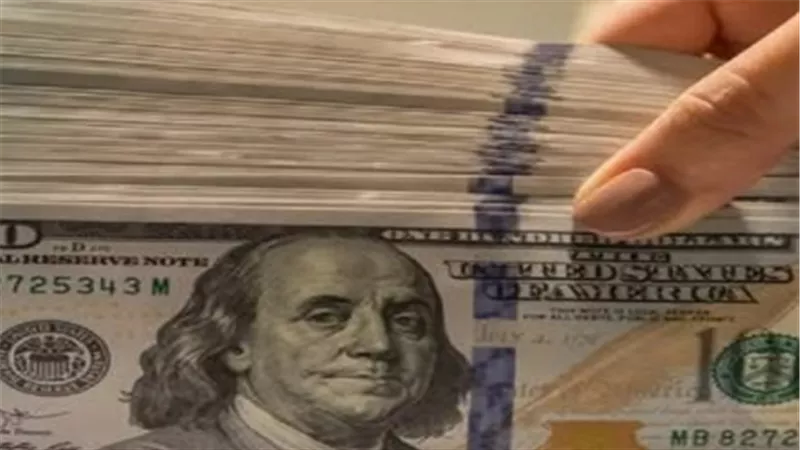 تطورات سعر الدولار في مصر: تقرير شامل حول أسعار الصرف الرسمية ليوم 31 مارس