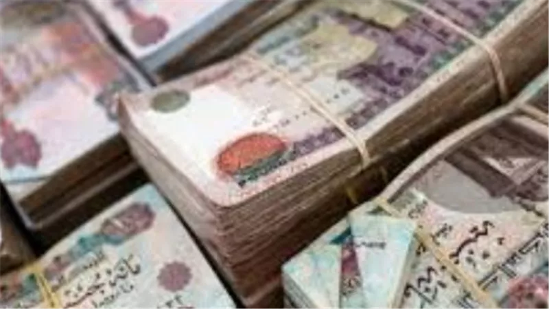 تفاصيل الشهادات البلاتينية وشهادة القمة قبل اجتماع البنك المركزي المرتقب