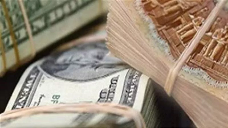 تحديثات سعر الدولار لحظة بلحظة: استقرار نسبي في البنوك وترقب لتحركات الأسواق العالمية