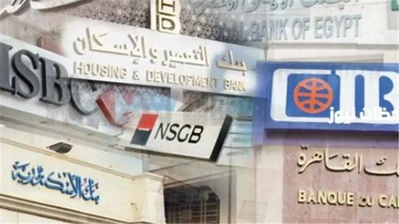 البنك المركزي المصري أمام اختبار صعب.. كيف تتأثر شهادات الادخار بقرار الفائدة؟