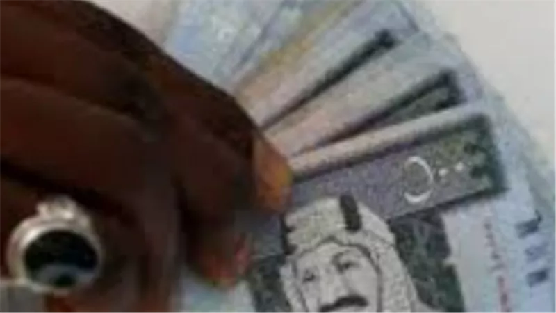 استقرار الريال السعودي في السوق المصرفي المصري وتوقعات الأسعار في الأيام القادمة