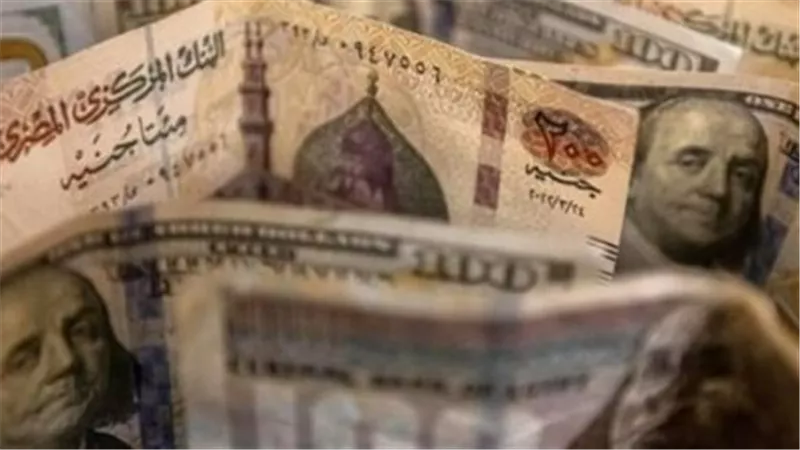 خريطة أسعار العملات في مصر: بنك أبوظبي الإسلامي يسجل أعلى سعر للشراء وتنمية الصادرات الأقل