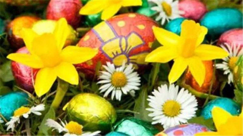 المولد النبوي وعيد الأضحى وشم النسيم.. جدول العطلات الرسمية في مصر حتى نهاية 2026