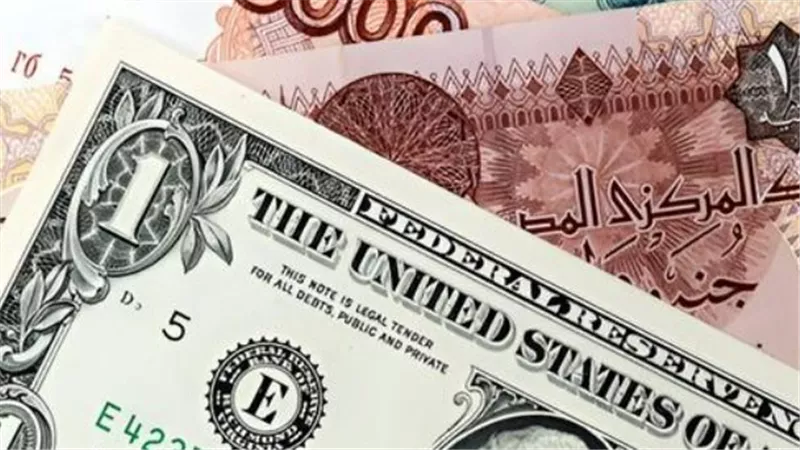 الأخضر يحافظ على مستوياته: خريطة أسعار الدولار في البنك المركزي والبنوك المصرية
