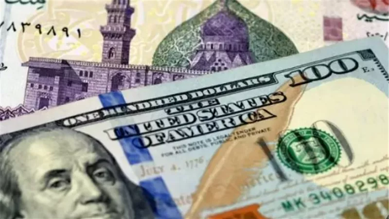استقرار الدولار في البنك المركزي المصري اليوم وارتياح في أوساط المستوردين والأسواق