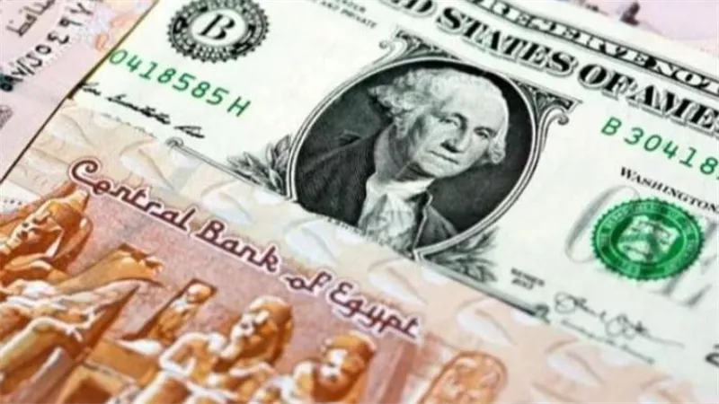 هدوء في سوق الصرف.. أسعار الدولار مقابل الجنيه تحافظ على مستوياتها اليوم الأحد
