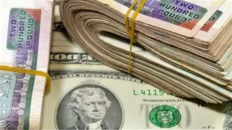 الأخضر يتشبث بمكاسبه.. قراءة في استقرار أسعار صرف الدولار بالبنوك المصرية