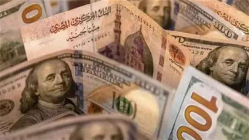 البنك المركزي يعلن استقرار الدولار.. تفاصيل أسعار الشراء والبيع اليوم 12 أبريل
