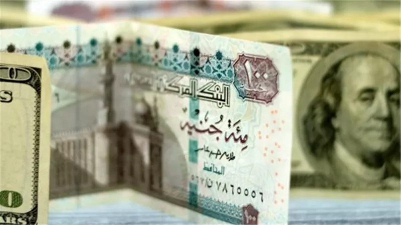 كل ما تريد معرفته عن أسعار الدولار في مصر لضبط ميزانيتك المالية اليوم