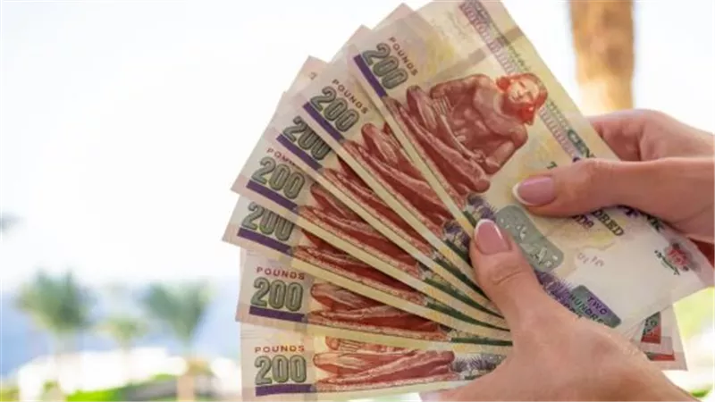 خطوات الاستعلام عن زيادة المعاشات وتفاصيل صرف شهر مايو 2026 عبر موقع الهيئة