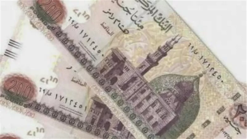 منظومة الحماية الاجتماعية في مصر: تفاصيل صرف مستحقات مايو 2026 وتيسيرات كبار السن