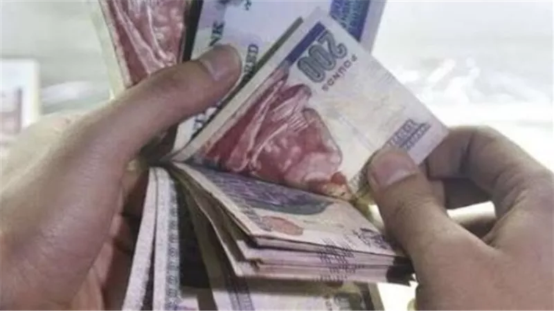 للموظفين والعمال.. ميزات شهادة استثمار 