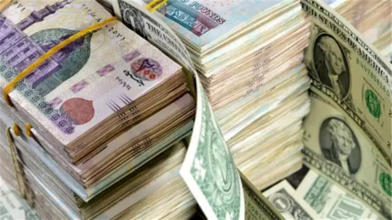اليورو والدولار في ميزان الثلاثاء.. تحديث شامل لأسعار الصرف بعد قرارات المركزي الأخيرة